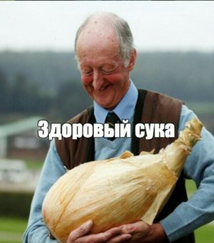 1647807541155488294.jpg