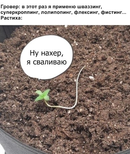 IMG_4964.jpeg