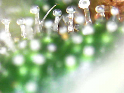 2B20CF21-862F-45FD-B860-68CA43D76A24.png