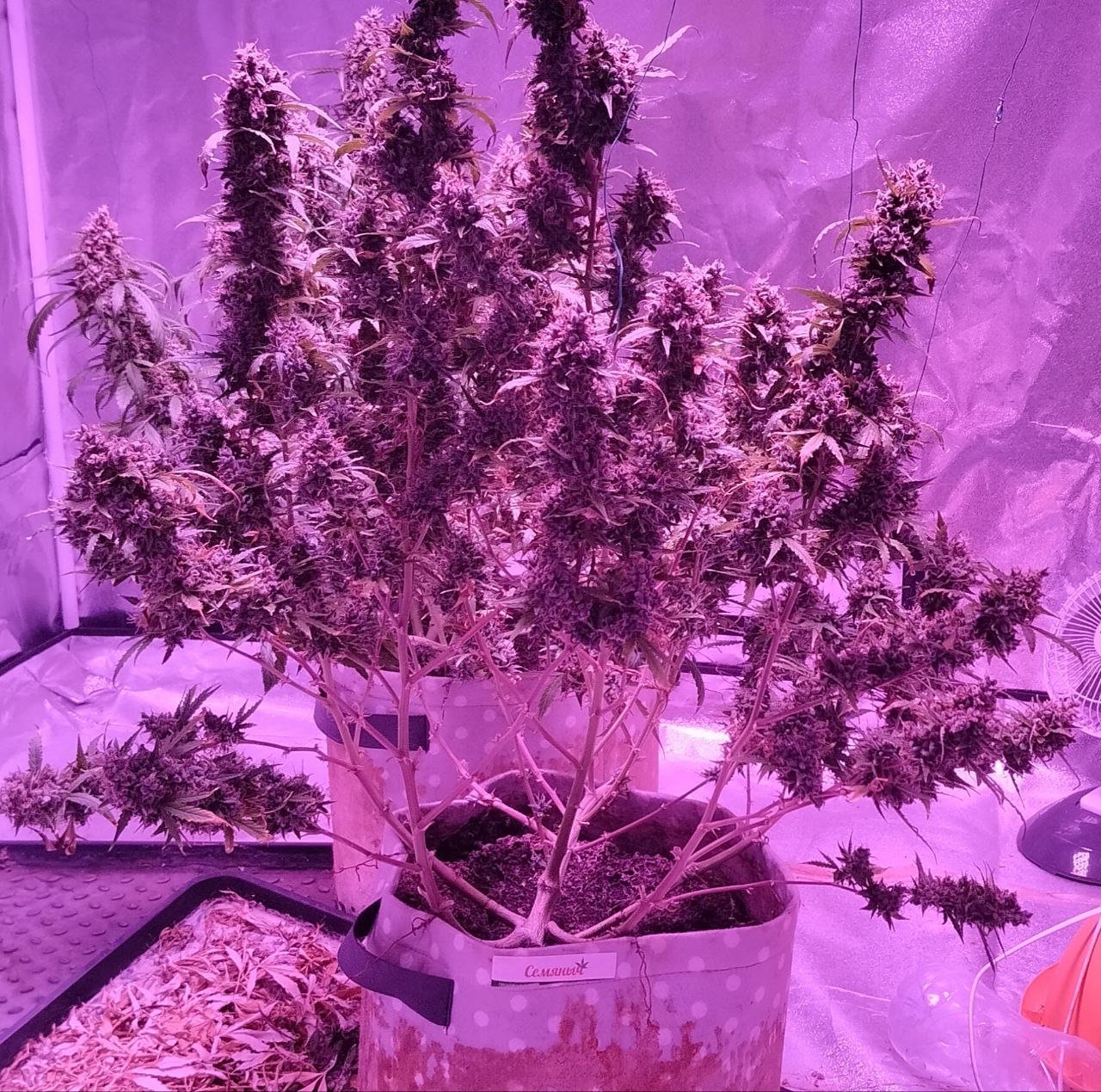 photo_2023-06-01_22-32-25 (2).jpg