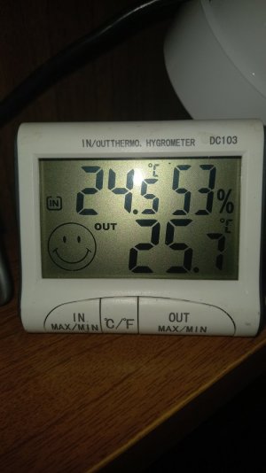 16881543039992662770511557432232.jpg