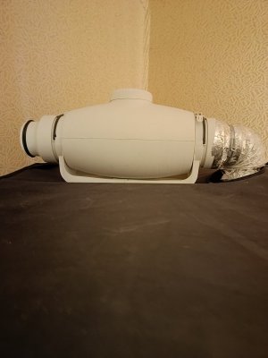 IMG20230718100227.jpg