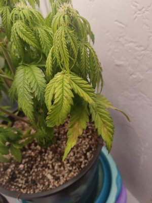 photo_2023-10-09_00-10-23 (2).jpg