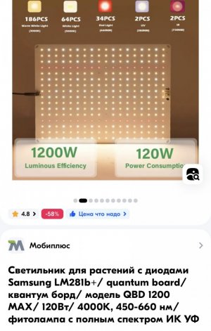 imgonline-com-ua-dexifQyfh4bGM3UEa.jpg