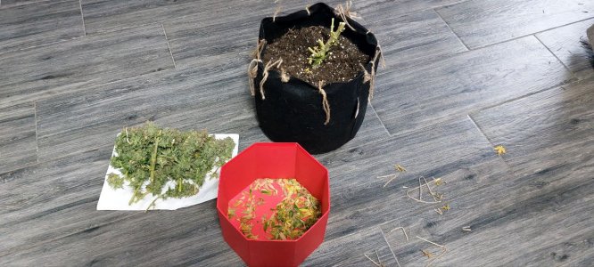 2024.01.12 - харв.jpg