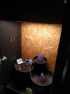 IMG_20240202_185710.jpg
