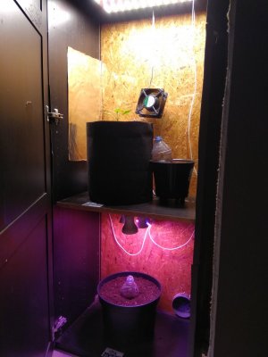 IMG_20240206_162029.jpg
