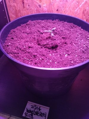 IMG_20240206_162106.jpg