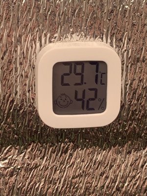 85C3128A-D447-4B00-BE24-A536F2FC0160.jpeg