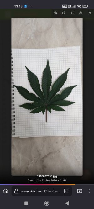 1000010286.jpg