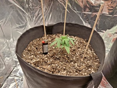 WhatsApp 2024-10-27 в 20.25.25_054e001f.jpg